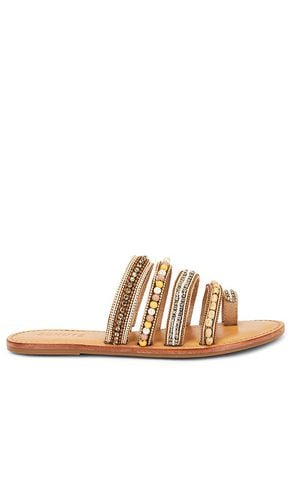 Jodie Sandal in Brown. - size 10 (also in 6, 6.5, 7.5, 8, 8.5, 9) - Schutz - Modalova