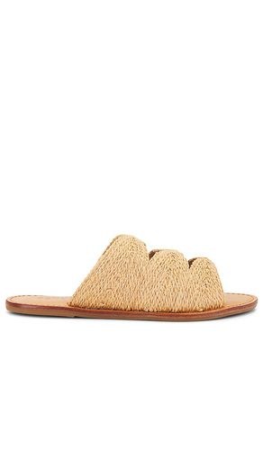 Ivy Sandal in Neutral. - size 6 (also in 6.5, 7.5, 8, 8.5, 9, 9.5) - Schutz - Modalova