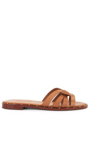 Phoenix Flat Sandal in Brown. - size 10 (also in 6, 6.5, 7, 7.5, 8, 8.5, 9) - Schutz - Modalova