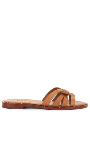 Phoenix Flat Sandal in Brown. - size 10 (also in 6, 6.5, 9.5) - Schutz - Modalova