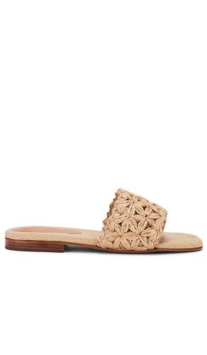 Ayla Straw Sandal in Neutral. - size 6 (also in 6.5, 7, 8, 8.5, 9) - Schutz - Modalova