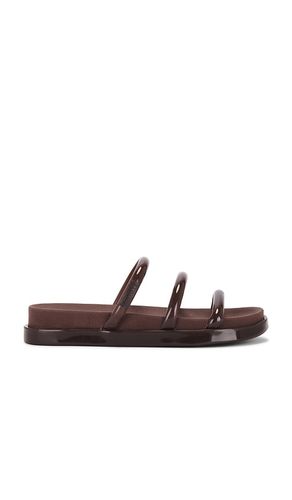 Polly Sporty Sandal in Brown. - size 10 (also in 6, 7, 8, 9) - Schutz - Modalova