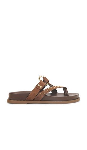 Aveline Sporty Sandal in Brown. - size 10 (also in 6, 6.5, 7, 7.5, 8, 8.5, 9, 9.5) - Schutz - Modalova