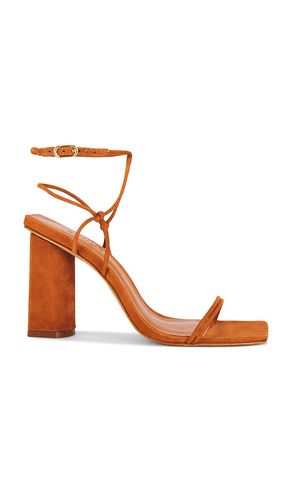 Pompeii Sandal in Brown. - size 10 (also in 6, 8, 8.5, 9.5) - Schutz - Modalova