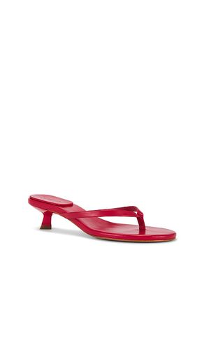 Carolyn Sandal in . Size 6.5. Also in 7.5 - Schutz - Modalova