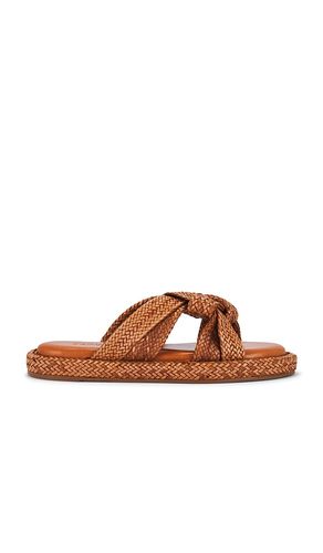 Kali Flat in Brown. - size 6 (also in 6.5, 7, 7.5, 8, 8.5, 9.5) - Schutz - Modalova