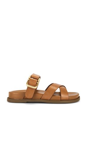 Vivienne Sporty Sandal in Brown. - size 10 (also in 6, 6.5, 7.5, 8, 8.5, 9.5) - Schutz - Modalova