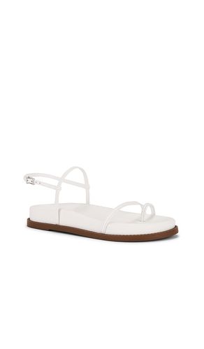 Azzy Sporty Sandal in . - size 10 (also in 8.5, 9.5) - Schutz - Modalova