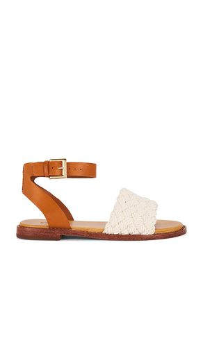 Isabel Flat Sandal in Brown. - size 10 (also in 6.5, 7.5, 8, 8.5, 9.5) - Schutz - Modalova