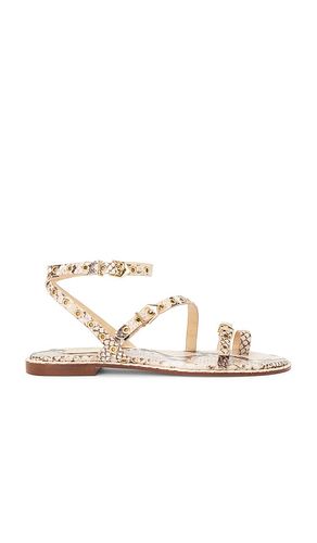 Annete Sandal in Beige. - size 10 (also in 11, 5, 5.5, 7.5, 9, 9.5) - Schutz - Modalova