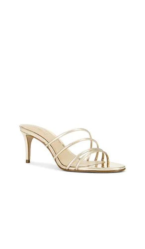 Inez Mule in Metallic Gold. - size 10 (also in 6, 6.5, 7, 7.5, 8, 8.5, 9.5) - Schutz - Modalova
