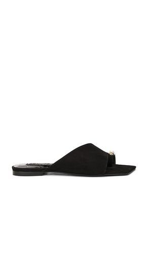 Jodie Flat Sandal in . - size 6 (also in 6.5, 7.5, 8.5) - Schutz - Modalova