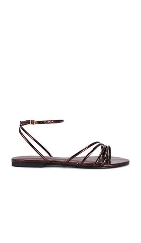 Inez Flat Sandal in Brown. - size 10 (also in 6, 7.5, 8, 8.5, 9, 9.5) - Schutz - Modalova