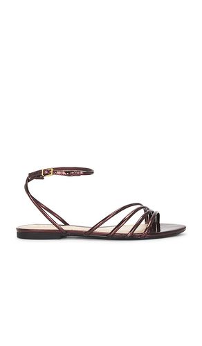 Inez Flat Sandal in Brown. - size 6 (also in 6.5, 7.5, 8, 8.5, 9.5) - Schutz - Modalova