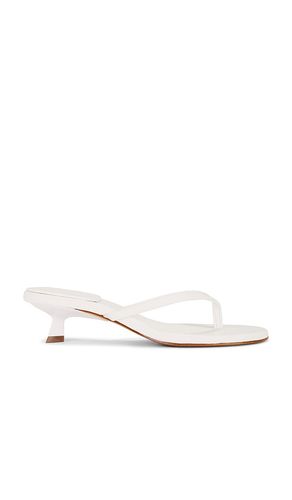 Carolyn Sandal in . - size 6.5 (also in 7.5, 8, 8.5) - Schutz - Modalova