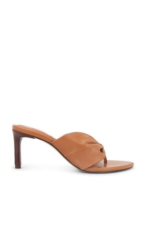 Lori Mid Sandal in Brown. - size 10 (also in 6.5, 7, 7.5, 8, 8.5, 9, 9.5) - Schutz - Modalova