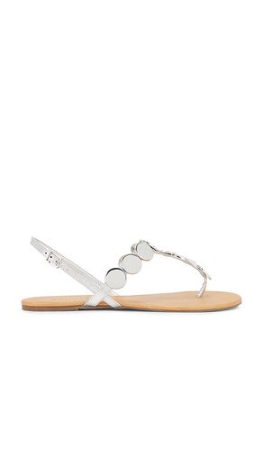 Acacia T Sandal in Metallic Silver, grey. - size 10 (also in 6, 6.5, 7, 7.5, 8, 8.5, 9, 9.5) - Schutz - Modalova