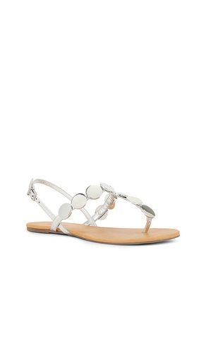 Acacia T Sandal in , . Size 6. Also in 6.5 - Schutz - Modalova