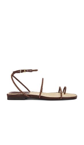 Kaya Flat Sandal in Brown. - size 10 (also in 6.5, 7.5, 8, 8.5, 9, 9.5) - Schutz - Modalova