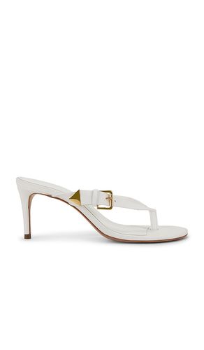 Ethel Sandal in . - size 10 (also in 6, 6.5, 8.5) - Schutz - Modalova