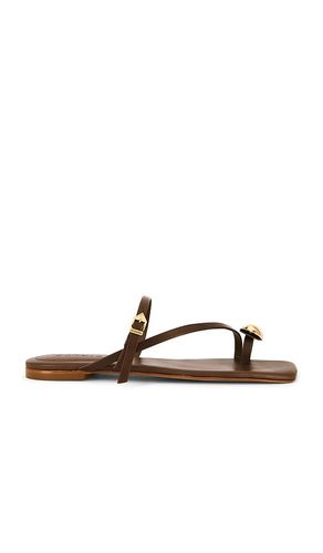 Elysa Flat in Chocolate. - size 11 (also in 5, 6.5) - Schutz - Modalova