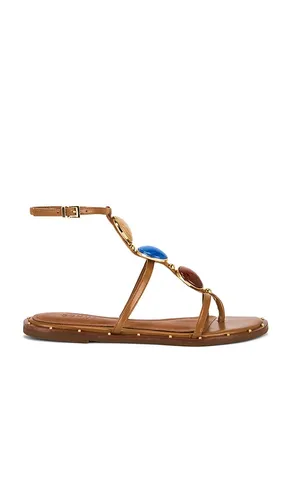 Milos Flat Sandal in . Size 6. Also in 5, 5.5 - Schutz - Modalova