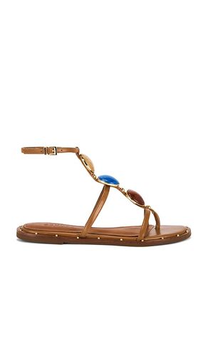 Milos Flat Sandal in . Size 6. Also in 7, 5, 5.5 - Schutz - Modalova