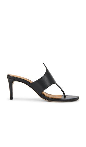 Elena Sandal in . - size 10 (also in 5, 6.5, 7, 7.5, 8, 8.5, 9, 9.5) - Schutz - Modalova