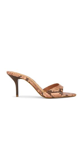 Elodie Sandal in Brown. - size 7.5 (also in 9.5) - Schutz - Modalova