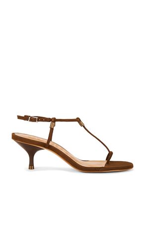 Elsha Kitten Sandal in Brown. - size 10 (also in 5, 5.5, 6.5, 7, 7.5, 8.5, 9, 9.5) - Schutz - Modalova
