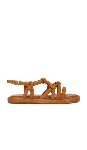 Janet Sandal in Brown. - size 10 (also in 5, 5.5, 6, 6.5, 7.5, 8, 8.5, 9, 9.5) - Schutz - Modalova