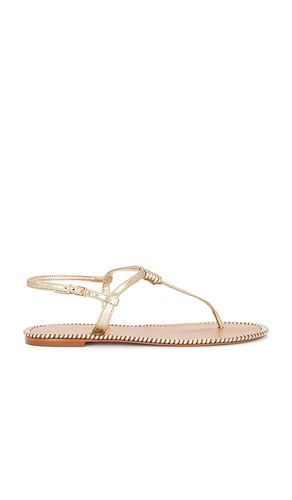 Elsha Sewing Sandal in Metallic Gold. - size 10 (also in 6, 6.5, 7, 7.5, 8, 8.5, 9.5) - Schutz - Modalova