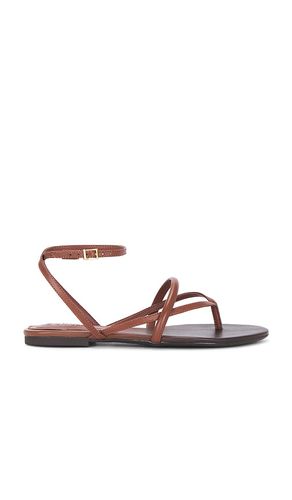 Diana Flat Sandal in Brown. - size 10 (also in 6, 6.5, 7.5, 8.5, 9, 9.5) - Schutz - Modalova