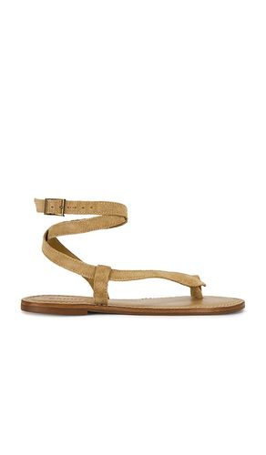 Cleo Flat Sandal in . Size 10. Also in 6, 6.5, 9.5 - Schutz - Modalova