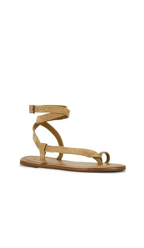 Cleo Flat Sandal in Olive. - size 10 (also in 6, 6.5, 7, 7.5, 8, 9.5) - Schutz - Modalova