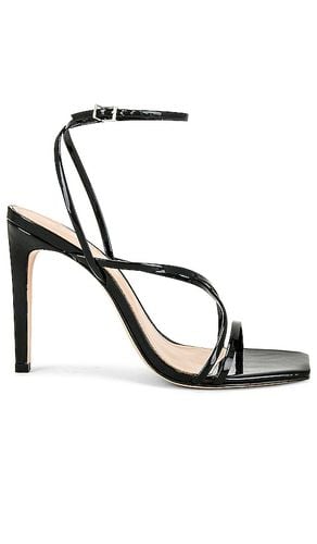 Sandalia bari en color talla 10 en - Black. Talla 10 (también en 8.5, 9.5) - Schutz - Modalova