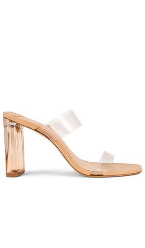 Ariella Acrylic High Heel in . Taglia 6 - Schutz - Modalova