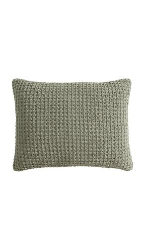 Standard Snug Waffle + Bamboo Sham Set in Green - Sunday Citizen - Modalova