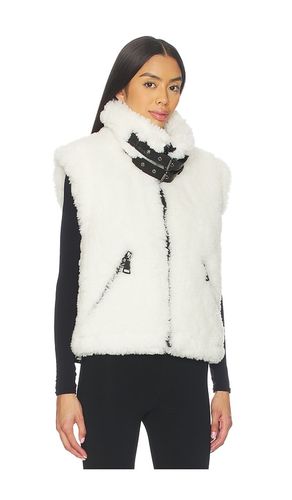 Sherpa Vest in . Size M. Also in S - SAM. - Modalova