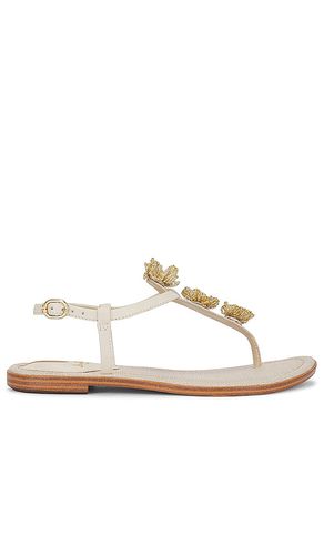 Gigi Flora Sandal in . - size 10 (also in 6, 6.5, 7.5, 8, 8.5, 9) - Sam Edelman - Modalova