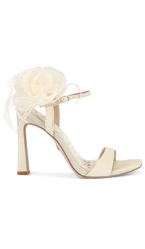 Leana 2 Sandal in Ivory. - size 10 (also in 9.5) - Sam Edelman - Modalova