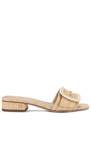 Deacon Bead Sandal in Neutral. - size 5.5 (also in 6, 6.5, 7) - Sam Edelman - Modalova