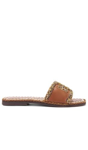 Fitz Sandal in Brown. - size 6 (also in 7.5, 8, 8.5) - Sam Edelman - Modalova