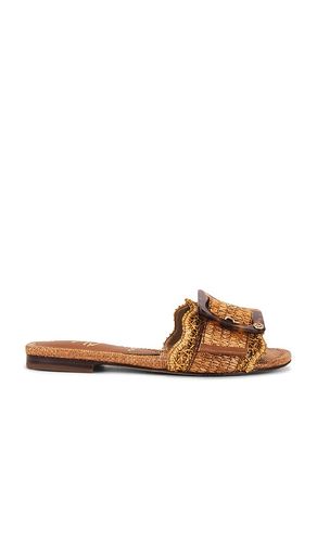 Bambi Sandal in Brown. - size 10 (also in 6, 6.5, 7, 7.5, 8.5, 9, 9.5) - Sam Edelman - Modalova