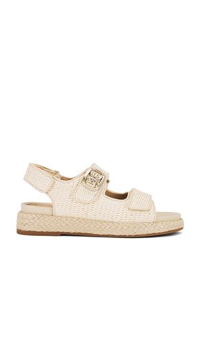 Arlo Sport Sandal in Neutral. - size 10 (also in 6, 6.5, 7.5, 8, 8.5) - Sam Edelman - Modalova