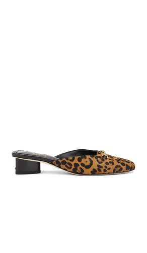 Ollie Mule in Brown. - size 6 (also in 7) - Sam Edelman - Modalova