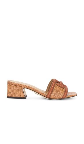 Waylon Mule in Brown. - size 10 (also in 6, 9.5) - Sam Edelman - Modalova