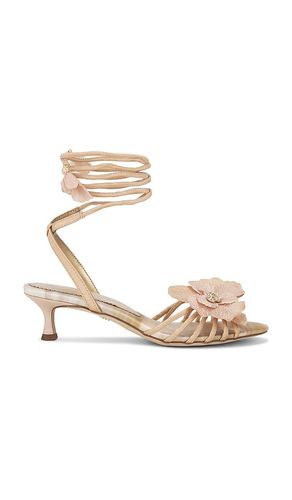 Carla Sandal in Natural. - size 6.5 (also in 7.5, 8) - Sam Edelman - Modalova