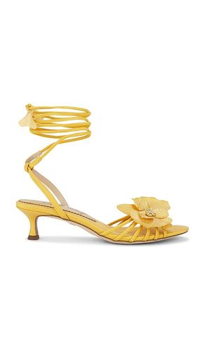 Carla Sandal in Mustard. - size 6.5 (also in 7, 7.5, 8, 8.5) - Sam Edelman - Modalova