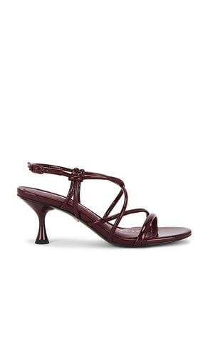 Riana Sandal in Burgundy. - size 6 (also in 6.5, 7, 7.5, 8, 8.5, 9, 9.5) - Sam Edelman - Modalova